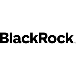BlackRock Alternative Investments