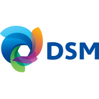 DSM's Logo