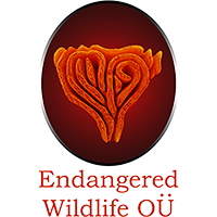 Endangered Wildlife - Logo