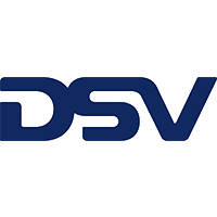 dsv's Logo