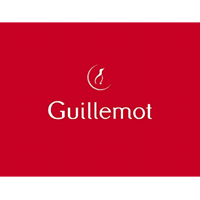 Guillemot Corporation